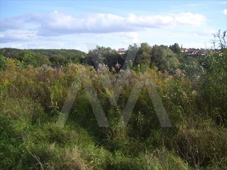Działka inna na sprzedaż Gdańsk, Matemblewo, POTOKOWA 833m2 Foto 11