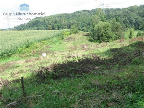 Działka inna na sprzedaż Konary, Brzegi 6 800m2 Foto 5