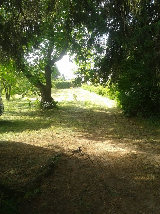 Dom na sprzedaż Korczew, Siedlecka 96m2 Foto 6