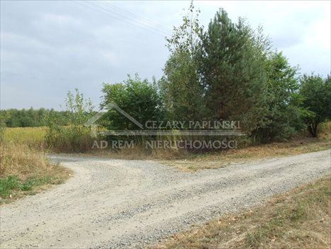Działka budowlana na sprzedaż Nowodwór 2 800m2 Foto 2