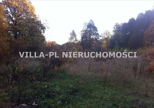 Działka budowlana na sprzedaż Łódź, Bałuty 2 900m2 Foto 3