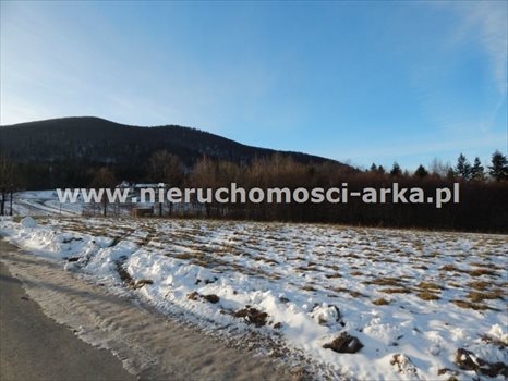 Działka budowlana na sprzedaż Skrzydlna 4 600m2 Foto 5