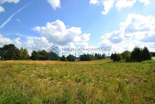 Działka budowlana na sprzedaż Stara Łubianka 9 475m2 Foto 2