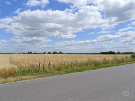 Działka inna na sprzedaż Wola Mąkolska 5 891m2 Foto 3