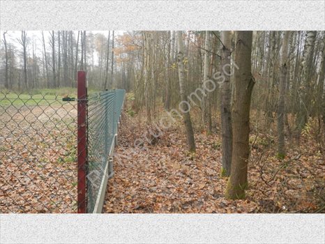 Dom na sprzedaż Piaseczno 60m2 Foto 8