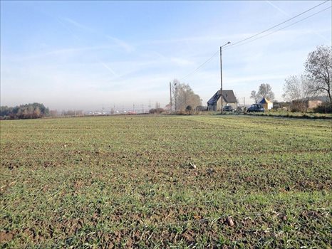 Działka inna na sprzedaż Golęczewo, Suchy Las 16 695m2 Foto 2