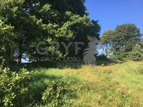 Działka inna na sprzedaż Dębina 2 500m2 Foto 7