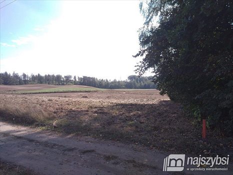 Działka siedliskowa na sprzedaż Kolincz, obrzeża 4 900m2 Foto 8