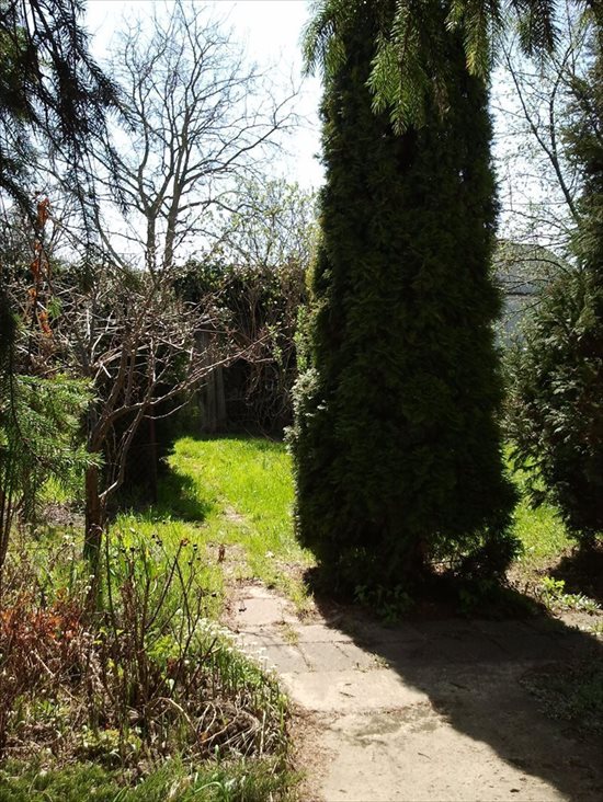 Działka inwestycyjna na sprzedaż Warszawa, Włochy, Aksamitna 29 1 200m2 Foto 6