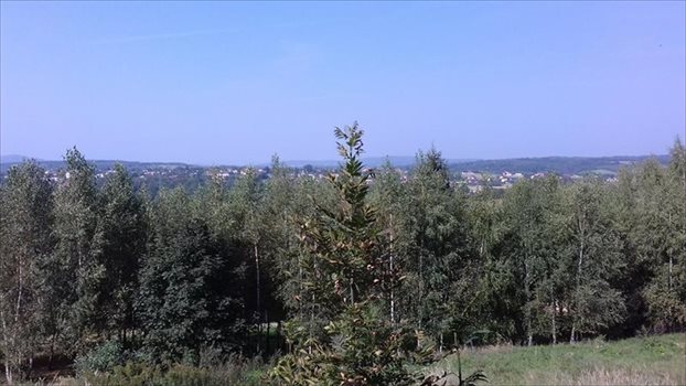 Dom na sprzedaż Zarzecze, Zarzecze 155m2 Foto 6