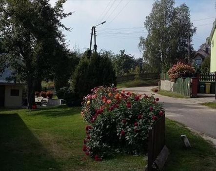 Działka rekreacyjna na sprzedaż Wolin, Skoszewo 17 700m2 Foto 8