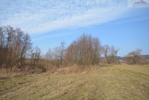 Działka rekreacyjna na sprzedaż Wara 2 955m2 Foto 10