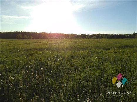 Działka budowlana na sprzedaż Nikielkowo, Dębowa 1 260m2 Foto 5