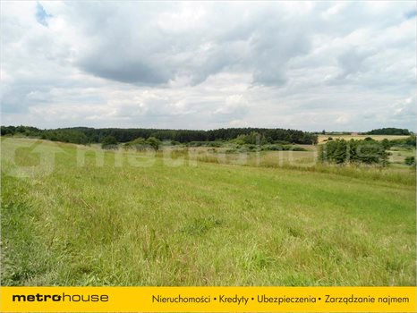 Działka inna na sprzedaż Jankowo, Pobiedziska 27 000m2 Foto 3