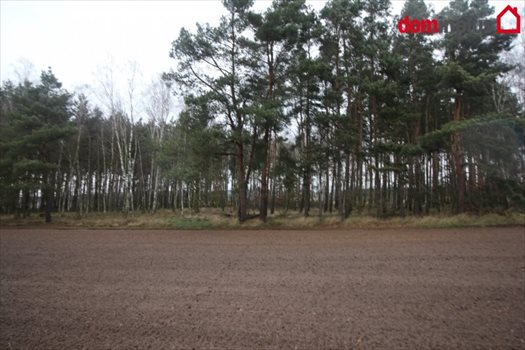 Działka inna na sprzedaż Zławieś Mała 3 005m2 Foto 3