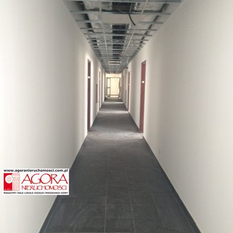 Lokal użytkowy na wynajem Kraków, Rybitwy 900m2 Foto 4