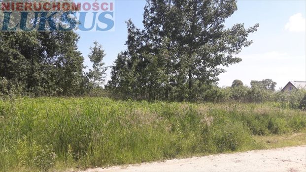 Działka budowlana na sprzedaż Góra Kalwaria, Kąty 1 000m2 Foto 6