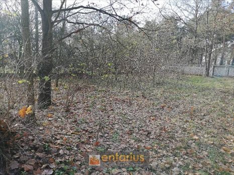 Działka budowlana na sprzedaż Józefów, Nadwiślańska 1 366m2 Foto 6
