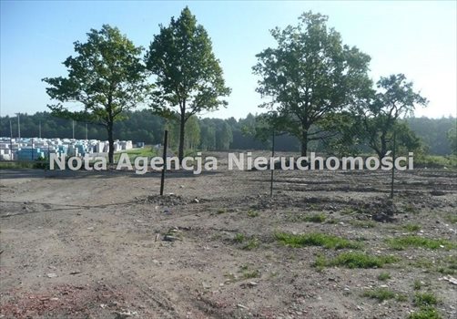 Działka budowlana na sprzedaż Wałbrzych, Szczawienko 42 500m2 Foto 6