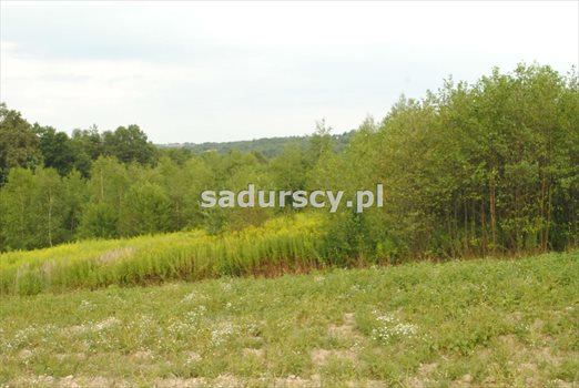 Działka budowlana na sprzedaż Głogoczów 1 965m2 Foto 4
