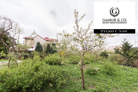 Działka budowlana na sprzedaż Gdynia, Chylonia, Swarzewska 914m2 Foto 12