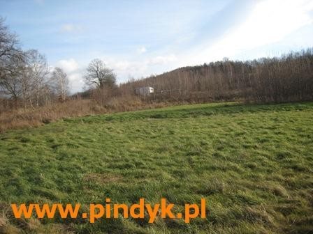 Działka budowlana na sprzedaż polska, Staniszów 1 724m2 Foto 3