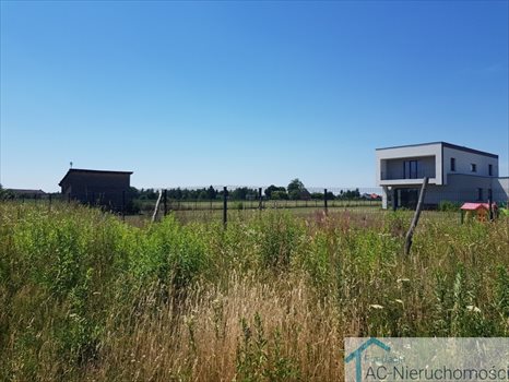 Działka budowlana na sprzedaż Rosanów 3 000m2 Foto 1