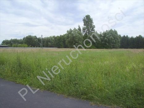 Działka rolna na sprzedaż Holendry Baranowskie 28 400m2 Foto 5