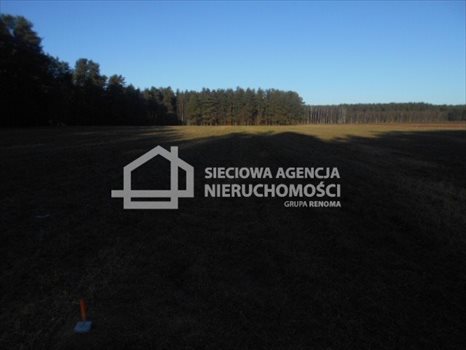 Działka budowlana na sprzedaż Rokity 1 246m2 Foto 11