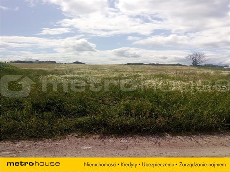 Działka inna na sprzedaż Mierzeszyn, Trąbki Wielkie 3 005m2 Foto 4