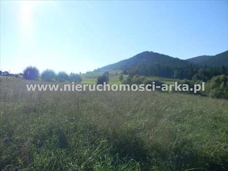 Działka budowlana na sprzedaż Dobra 1 700m2 Foto 1