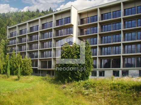 Działka inna na sprzedaż Szczawa 15 000m2 Foto 8