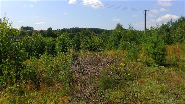 Działka budowlana na sprzedaż Kielno, BOŻANKA, MATEJKI 1 131m2 Foto 10