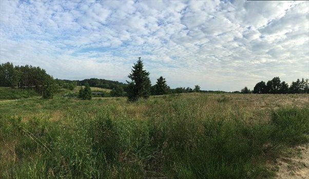 Działka budowlana na sprzedaż Gościcino, Gwiezdna 1 175m2 Foto 4