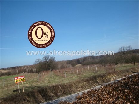 Działka inna na sprzedaż Kazimierz Dolny, Góry 3 300m2 Foto 3