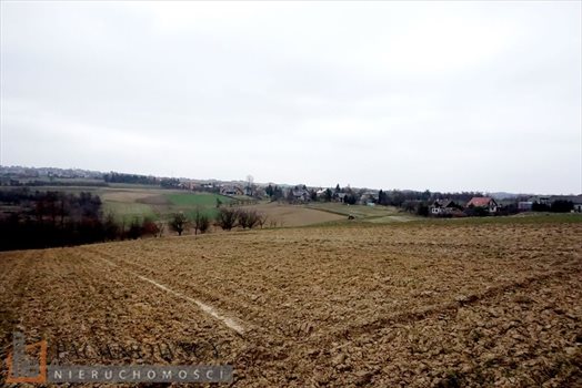 Działka rolna na sprzedaż Januszowice 10 200m2 Foto 6