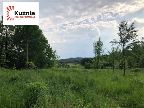 Działka budowlana na sprzedaż Osieczek 2 647m2 Foto 8