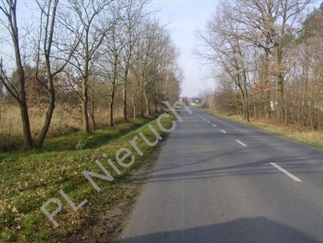 Działka inna na sprzedaż Skierniewice, Skierniewice 7 387m2 Foto 5