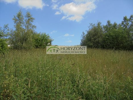 Działka budowlana na sprzedaż Małkowo 1 560m2 Foto 3
