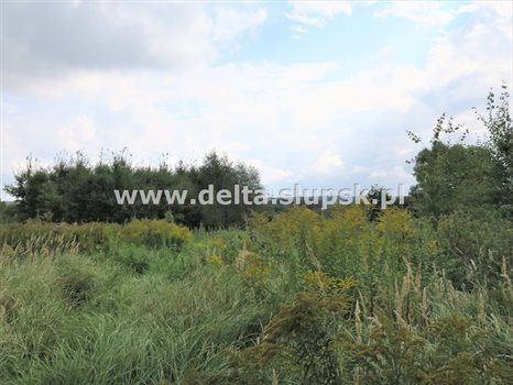 Działka inna na sprzedaż Kobylnica 1 082m2 Foto 3