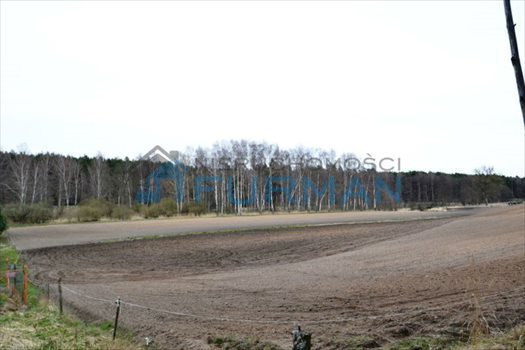 Działka budowlana na sprzedaż Dobrzyca 1 043m2 Foto 4