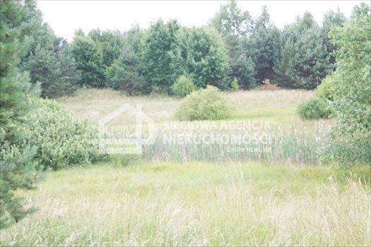 Działka budowlana na sprzedaż Sitno 3 664m2 Foto 6
