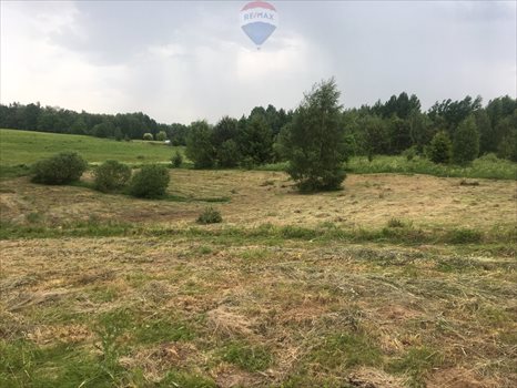 Działka inna na sprzedaż Wołowno 10 841m2 Foto 1