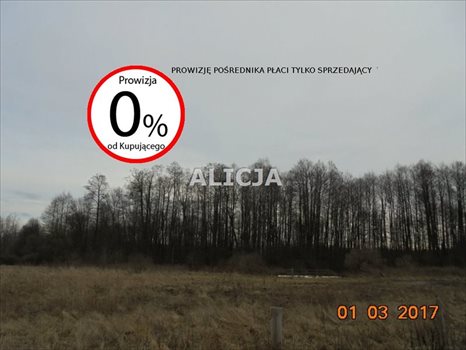 Działka budowlana na sprzedaż Radonie 2 068m2 Foto 4