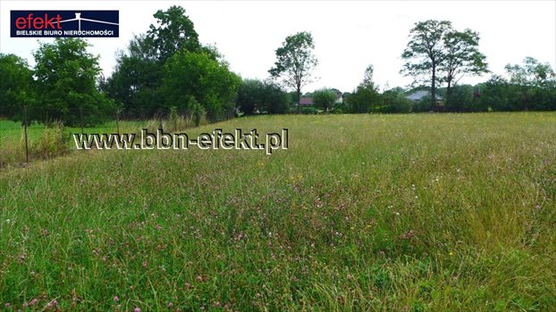 Działka budowlana na sprzedaż Jasienica 1 350m2 Foto 4
