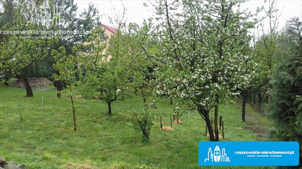 Działka budowlana na sprzedaż Kielanówka 1 200m2 Foto 1