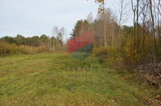 Działka rolna na sprzedaż Gdynia, Chwarzno-Wiczlino 8 057m2 Foto 3