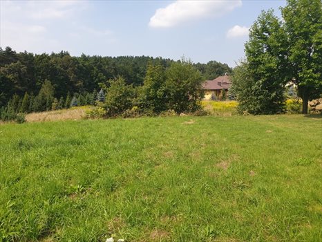 Działka budowlana na sprzedaż Myślenice, Głogoczów 1 400m2 Foto 8