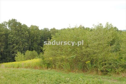 Działka budowlana na sprzedaż Głogoczów 1 965m2 Foto 7