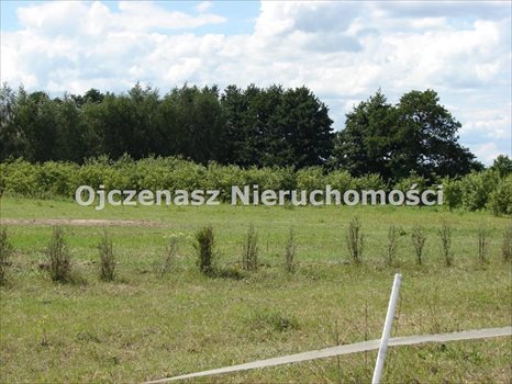 Działka budowlana na sprzedaż Żołędowo 1 300m2 Foto 2